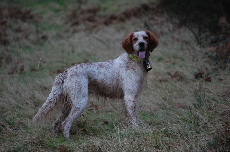 étienne dit éty Du dome etoile